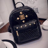 Imitation Shiny Metal Leather Travel Backpack, Full Size Backpack. 